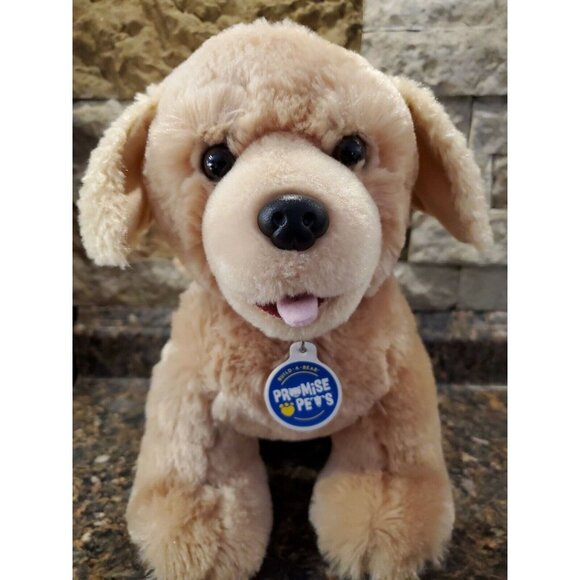 Build a Bear Promise Pets Golden Retriever Puppy Dog Plush BAB Stuffed Animal - Picture 2 of 10